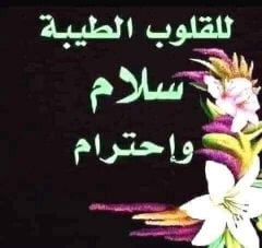بحث عن وظيفه