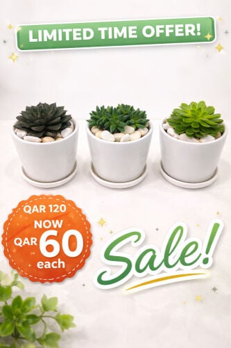 succulents