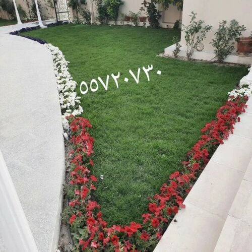 تصميم وتنسيق الحدائق.