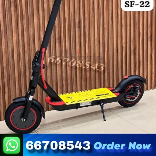 Electric scooter 