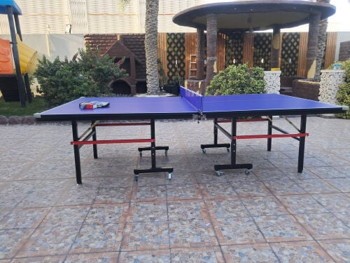 Tennis Table ping pong