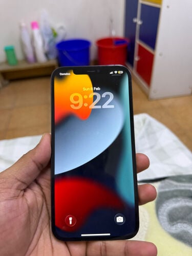 iPhone 12 Pro Max