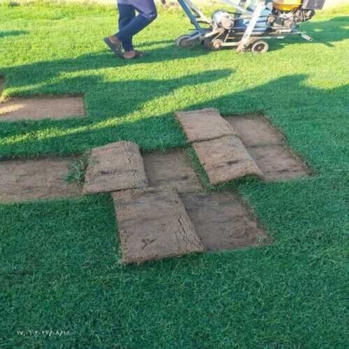 توريد وتركيب عشب طبيعي وصناعي