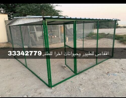 Pigeon Cage for Sale
