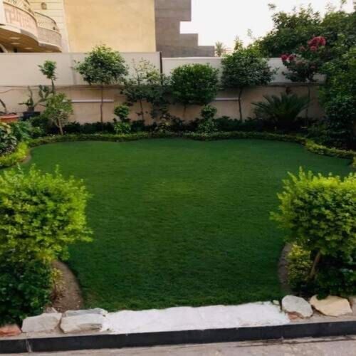 تنظيم وزراعة الحدائق