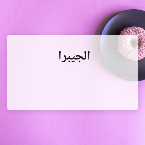 الجيبرا