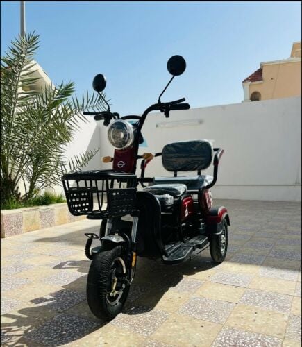 electric tri-scooter