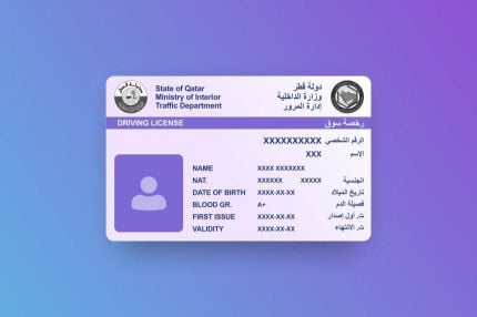 محمد عثمان بشير 