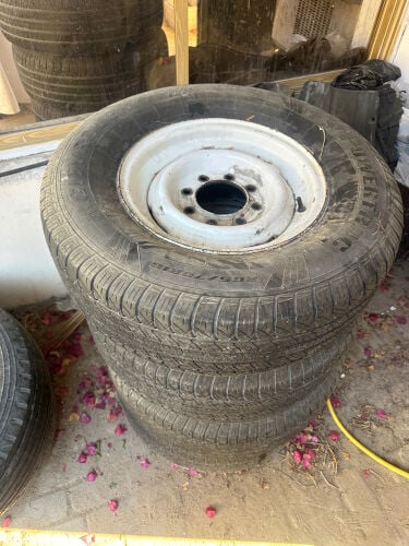 رنكات حق بهبهاني مع توير 