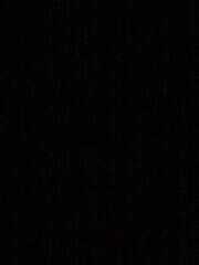 مطلوب ميني جيب