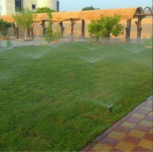 زراعة العشب الأخضر 