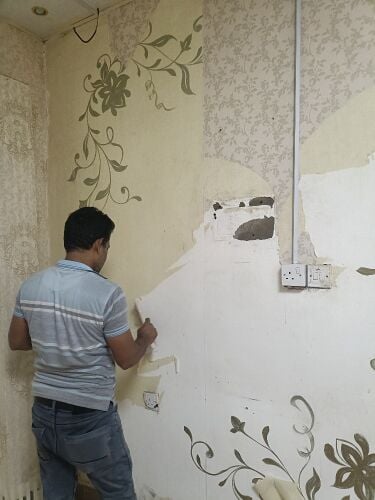 سعبير رخيص. رسام محترف. ورق الجدر