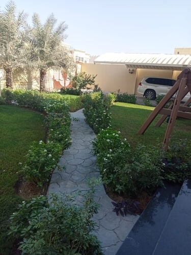 زراعه العشب والنخيل 