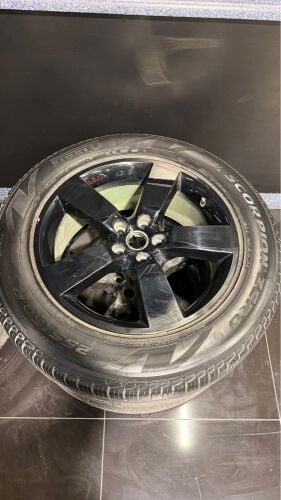 رنقات دفندر 