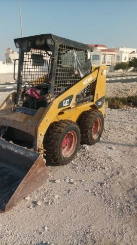 Bobcat
