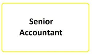 Sr.Accountant ( Join Immediate)
