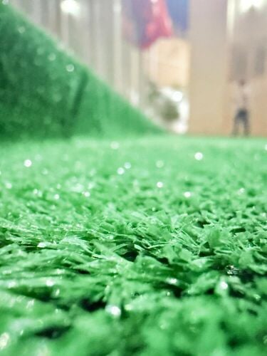 grass carpet
