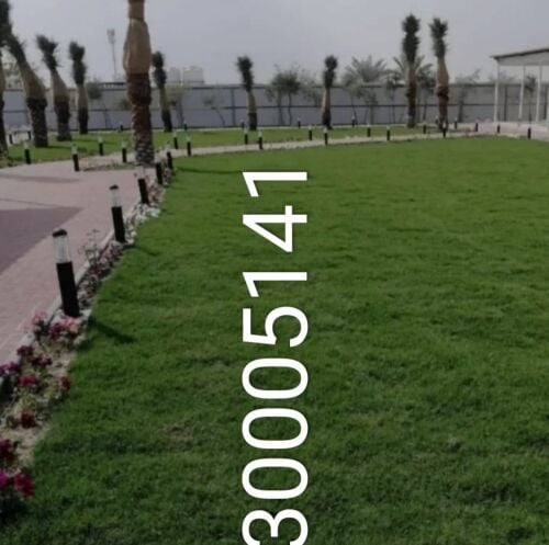 مهندس زراعي