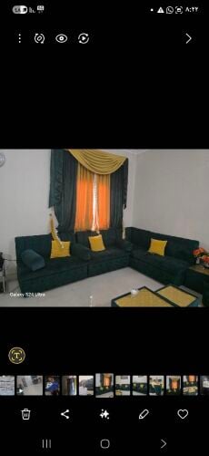 sofa and Chairs, table, and curta