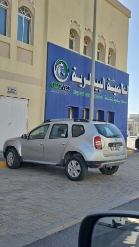 داستر ٢٠١٥ قطع غيار