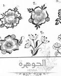 A Book teaching henna design tra