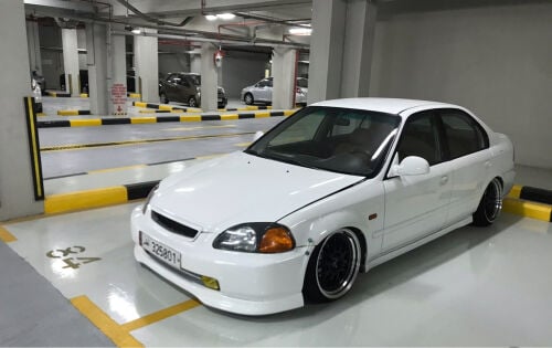 Junior 