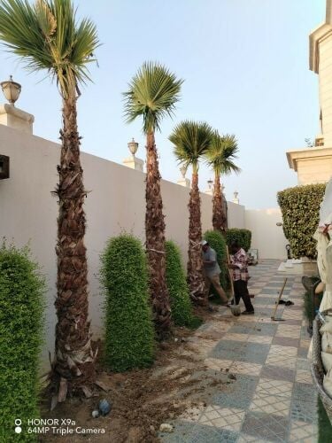 اعمال الحدائق