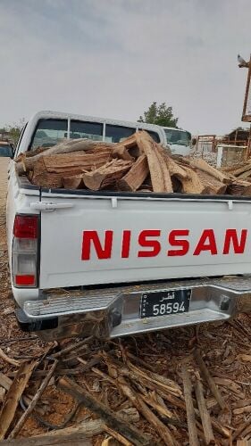 شبت ضو