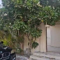 استديو للايجار في الريان