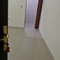 للايجار استديو في ابو هامور