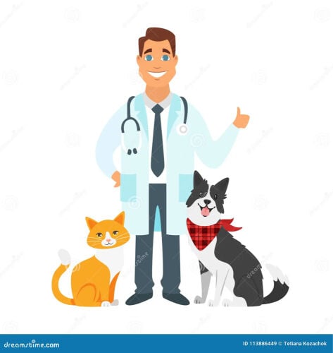 طبيب بيطري 