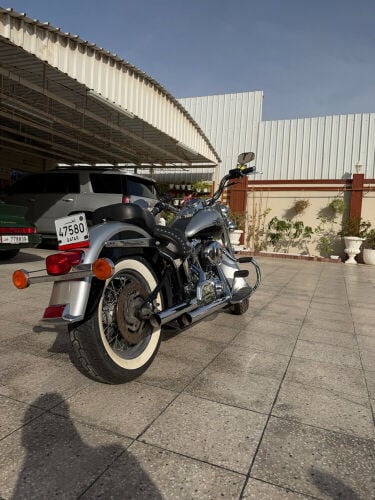for sale Harley he