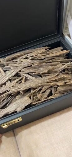 عود هندي فاخر كيلو 