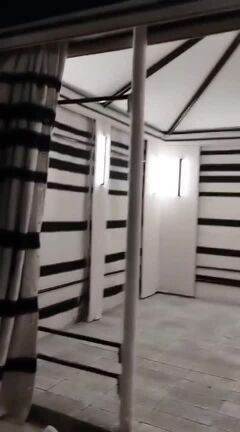 شاهين