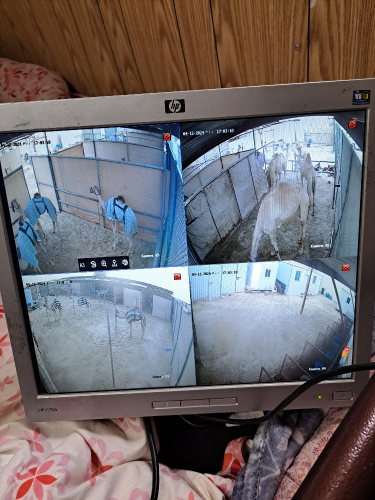 SEQURITI CAMERA FORE HOME