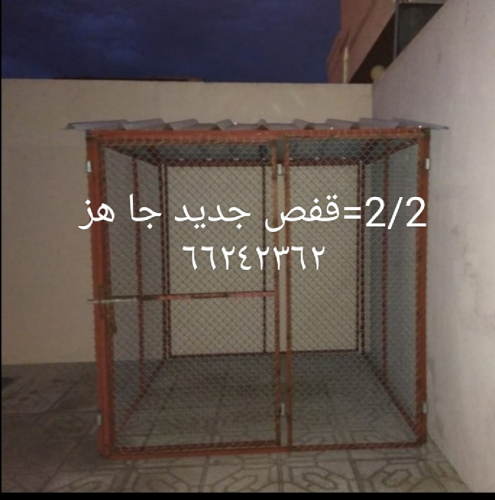 2/2 غوباس
