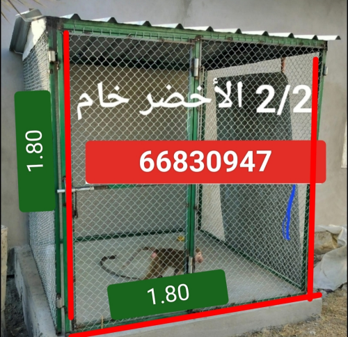 جوباس5