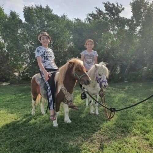 للايجار بوني للاطفال