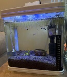 4L Fish Tank Size 190x140x190