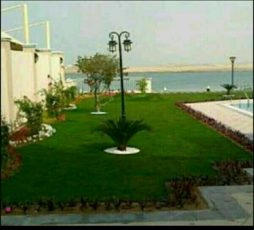 مزراع ومنسق حدائق 55504810