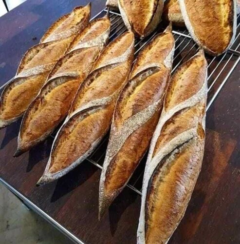 Professional baker