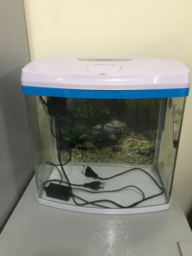 حوض سمك شبه جديد 