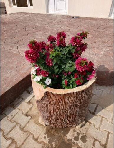 ديكور حدائق