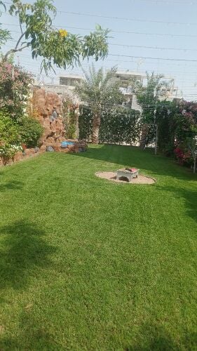 زراعة الحدائق