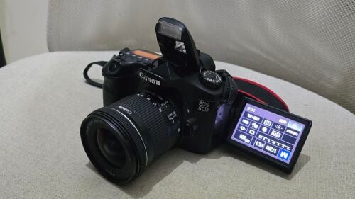 Canon 60D with 10-18mm