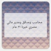 مدير مالي ومدقق داخلي