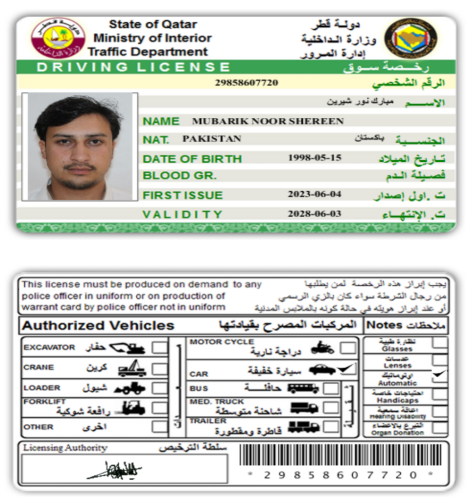 Mubarik Noor