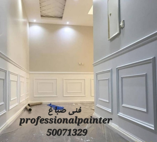 painting company nd jipsum decore