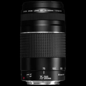 CANON EF 75-300MM LENS 