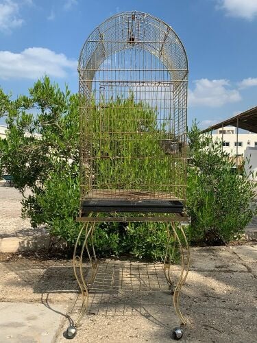 Golden Cage
